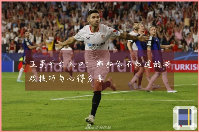 亚星平台入口：那些你不知道的游戏技巧与心得分享