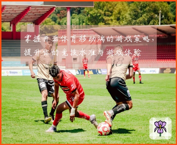 掌握开云体育移动端的游戏策略，提升你的竞技水准与游戏体验